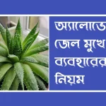 অ্যালোভেরা জেল মুখে ব্যবহারের নিয়ম